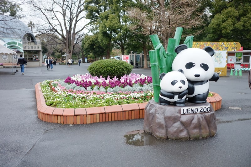 Japan Youth Travel enjoys a fun-filled day at Ueno Zoo, home to Japan’s beloved pandas.